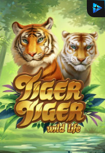 Bocoran RTP Tiger Tiger Wild Life di Kingsan168 Generator RTP Live Slot Terlengkap