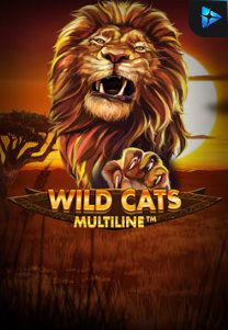 Bocoran RTP Wild Cat Multiline di Kingsan168 Generator RTP Live Slot Terlengkap