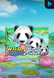 Bocoran RTP Wild Giant Panda di Kingsan168 Generator RTP Live Slot Terlengkap
