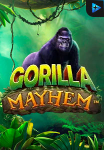 Bocoran RTP Gorilla Mayhem di Kingsan168 Generator RTP Live Slot Terlengkap